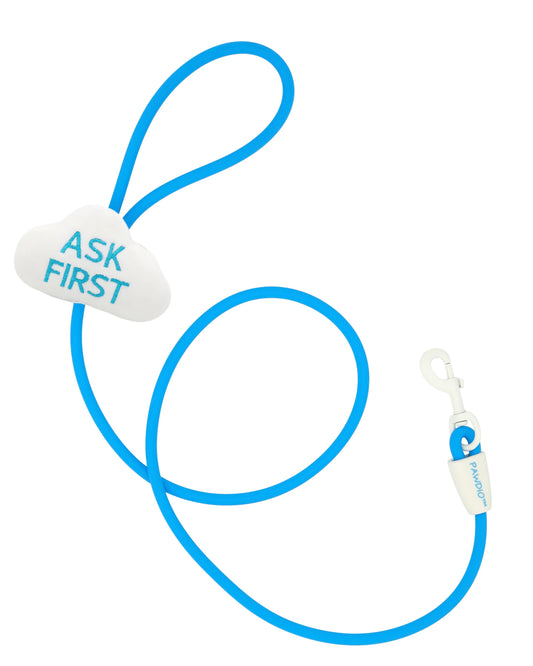 PAWDIO™ Mood-Expressing Dog Leash – ASK FIRST Series -  Sky Blue
