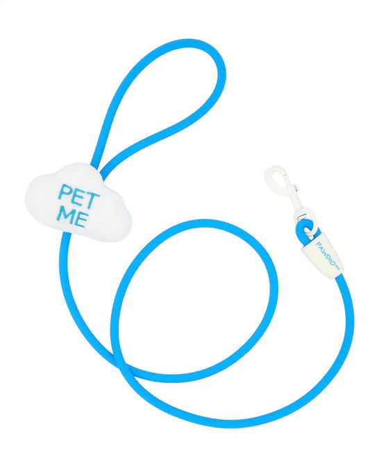 PAWDIO™ Mood-Expressing Dog Leash – PET ME Series -  Sky Blue